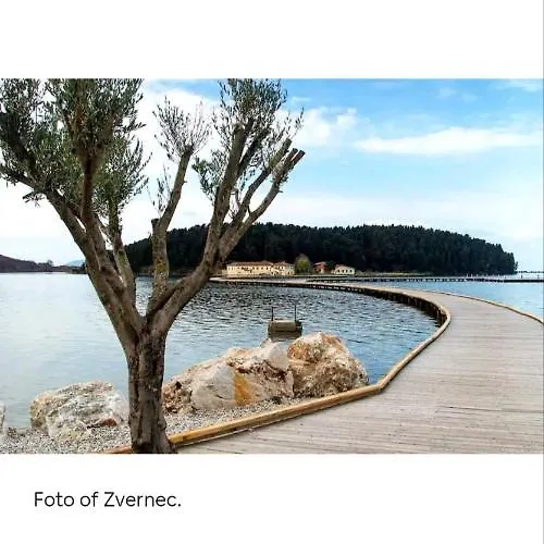 Sweet Holidays Near The & Center Of Appartamento Vlorë